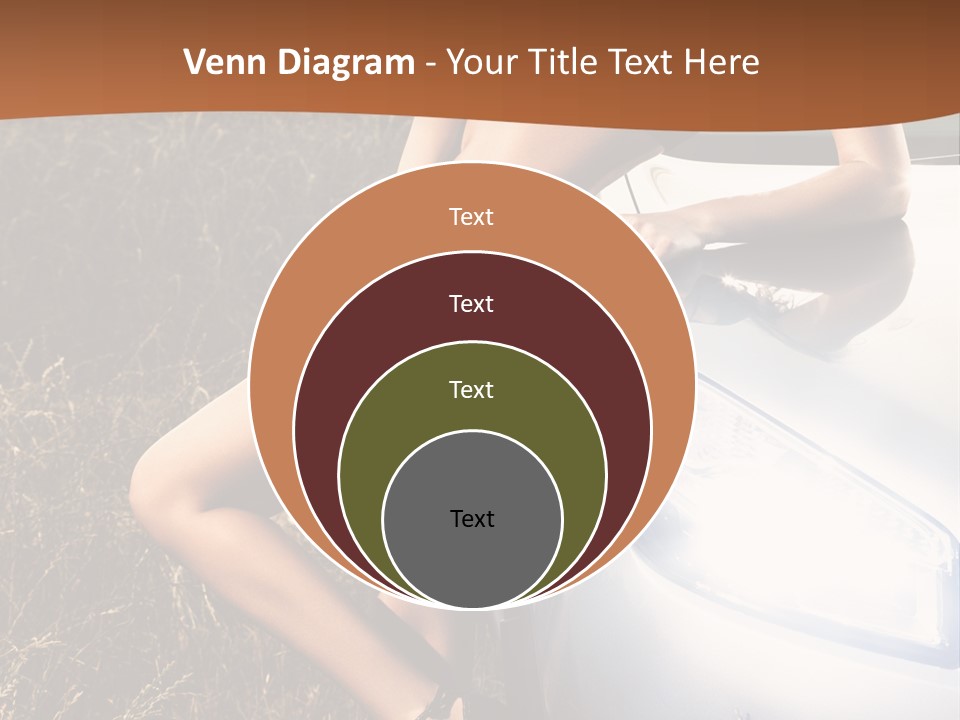 Miss Trans PowerPoint Template