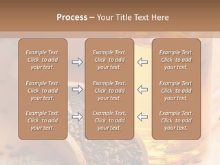 Flaxseed Oil PowerPoint Template
