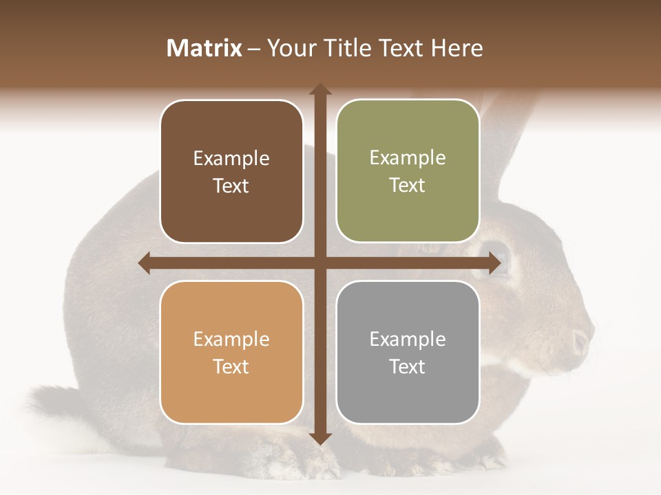 Rabbit Little Bunny PowerPoint Template