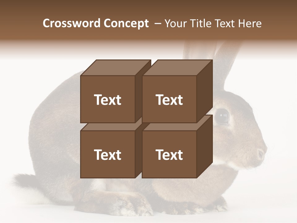 Rabbit Little Bunny PowerPoint Template