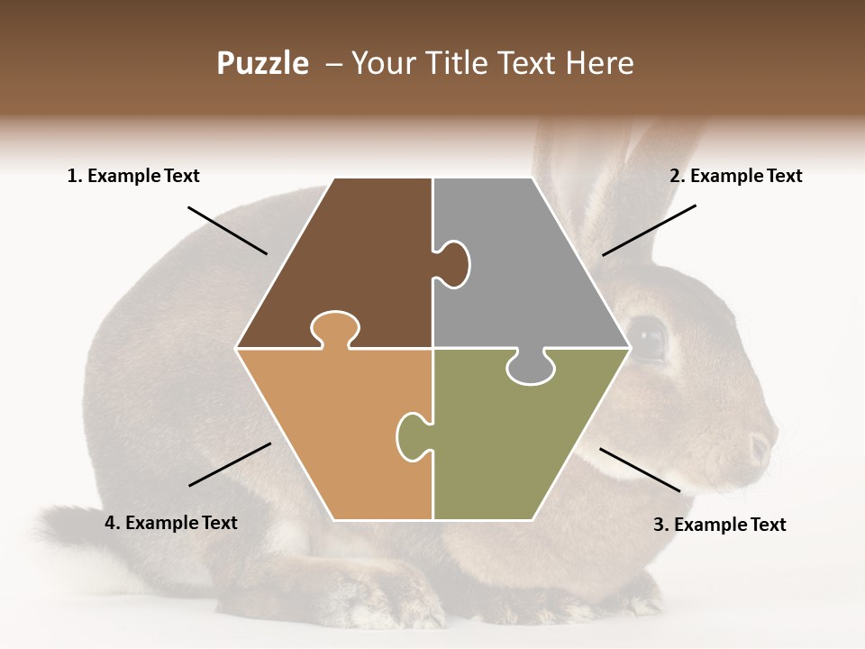 Rabbit Little Bunny PowerPoint Template