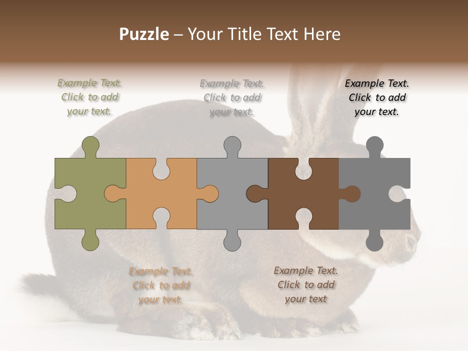 Rabbit Little Bunny PowerPoint Template