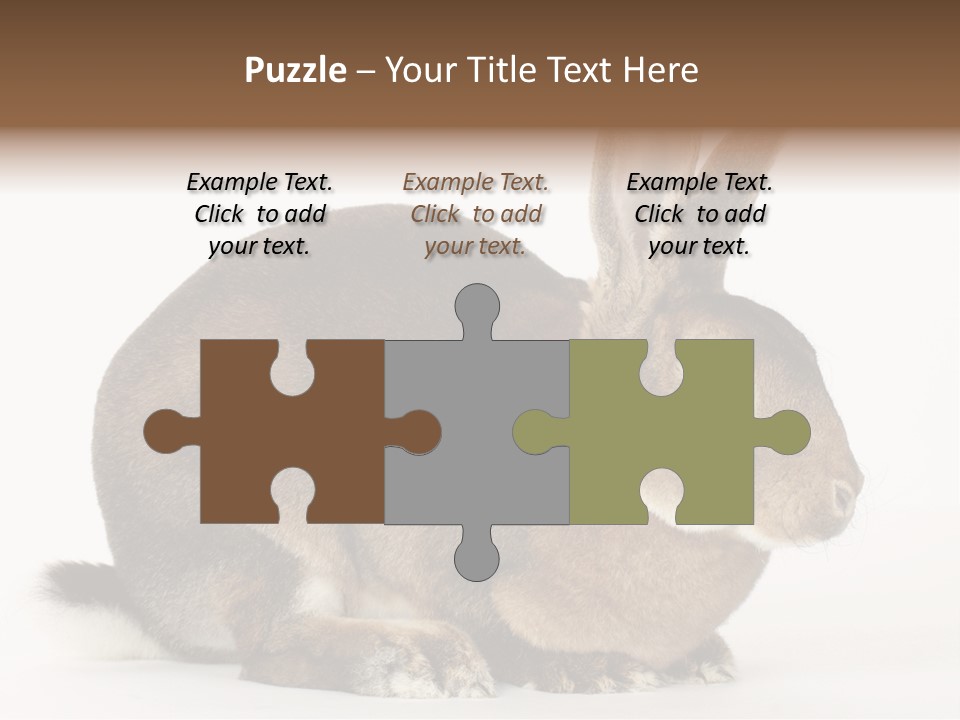 Rabbit Little Bunny PowerPoint Template