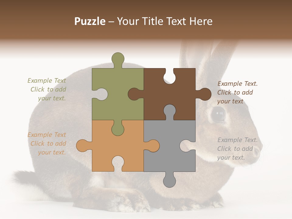 Rabbit Little Bunny PowerPoint Template