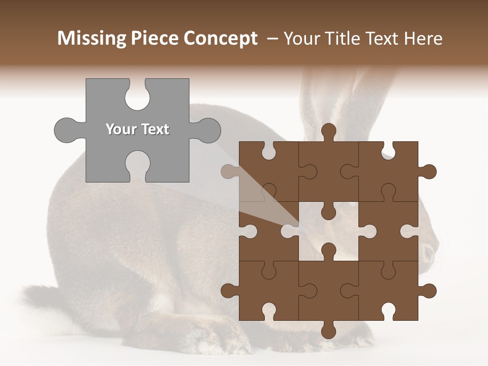 Rabbit Little Bunny PowerPoint Template