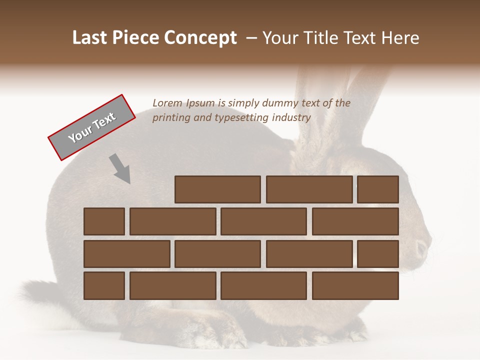 Rabbit Little Bunny PowerPoint Template