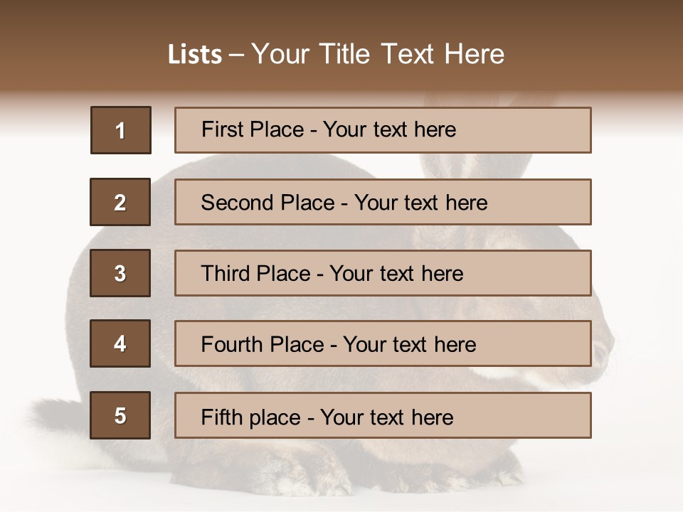 Rabbit Little Bunny PowerPoint Template