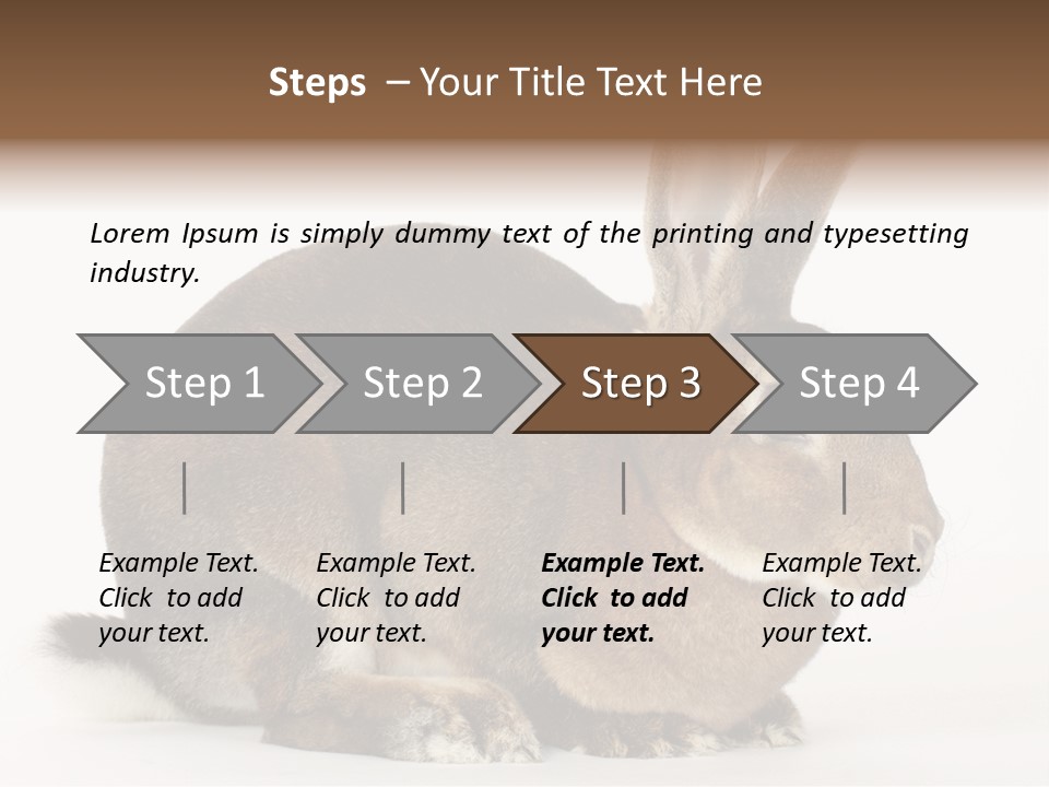 Rabbit Little Bunny PowerPoint Template