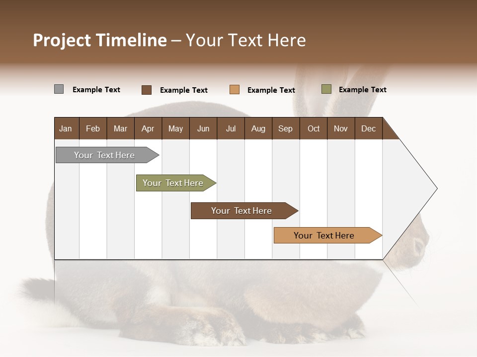 Rabbit Little Bunny PowerPoint Template