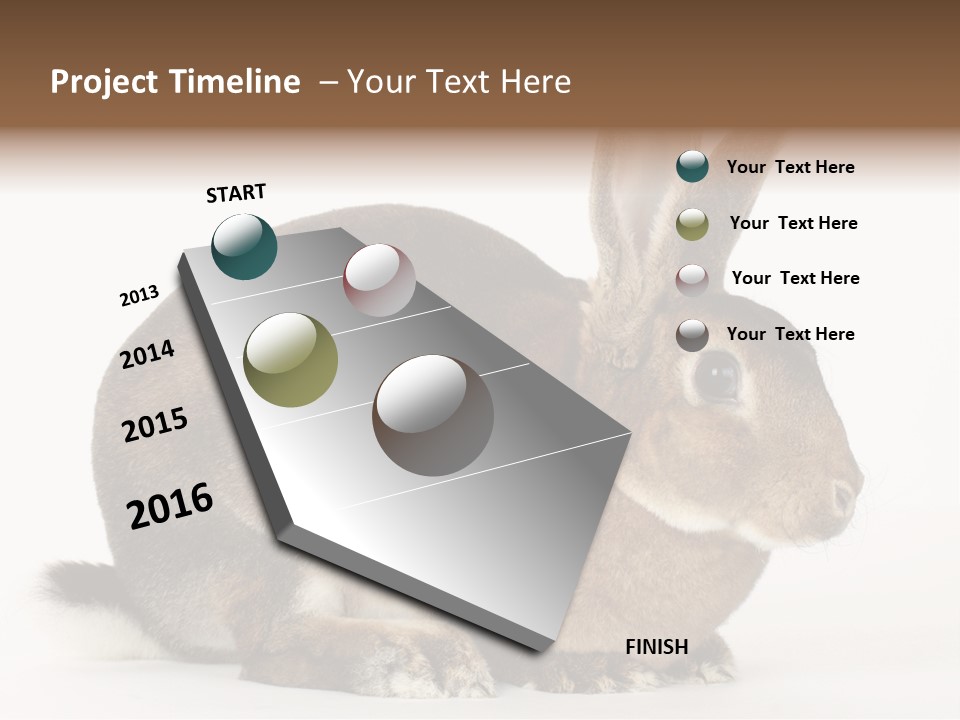 Rabbit Little Bunny PowerPoint Template