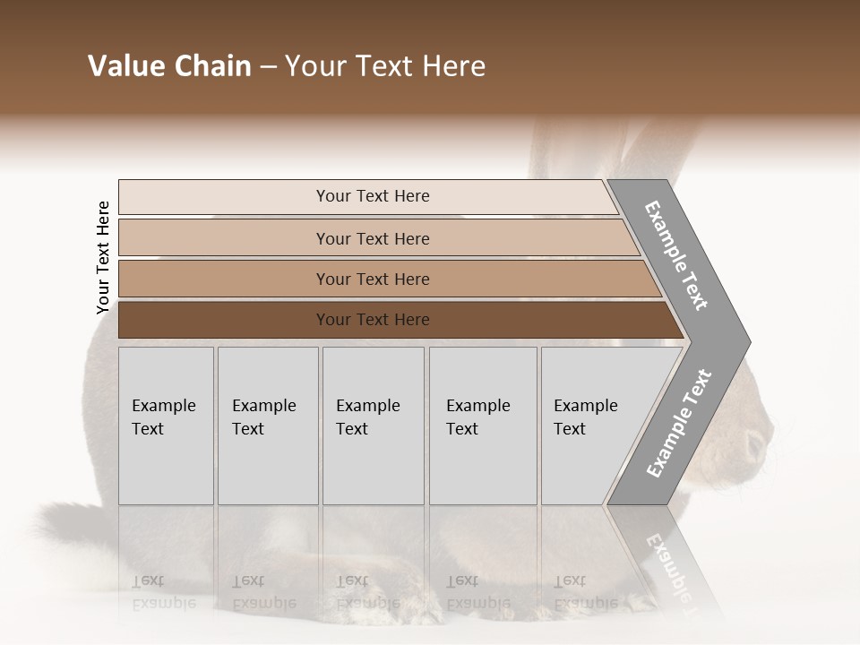 Rabbit Little Bunny PowerPoint Template