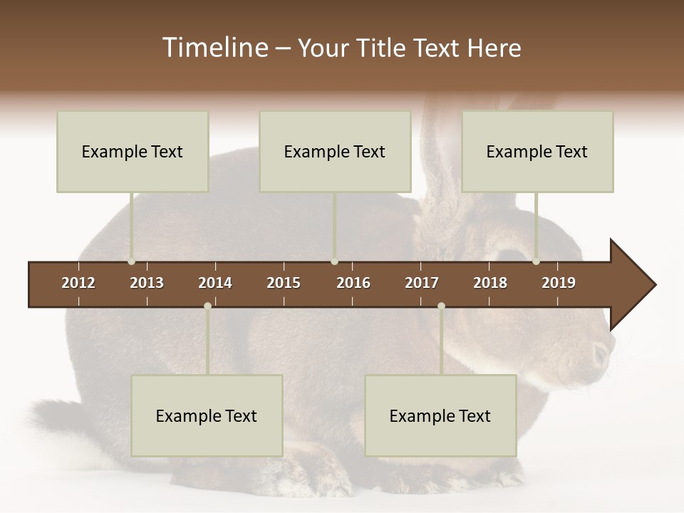Rabbit Little Bunny PowerPoint Template