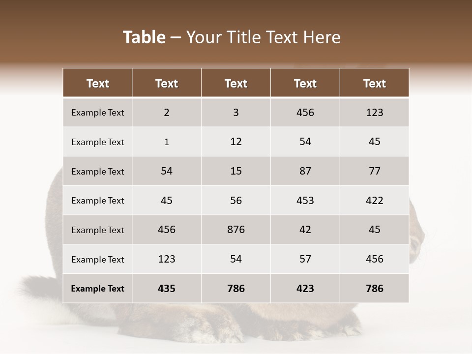 Rabbit Little Bunny PowerPoint Template