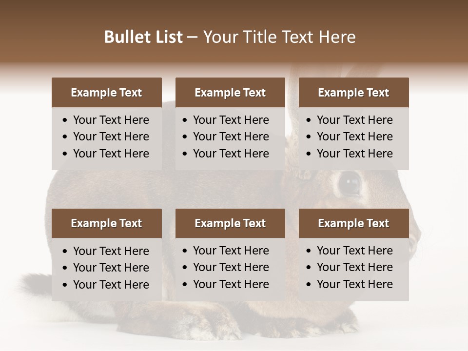 Rabbit Little Bunny PowerPoint Template