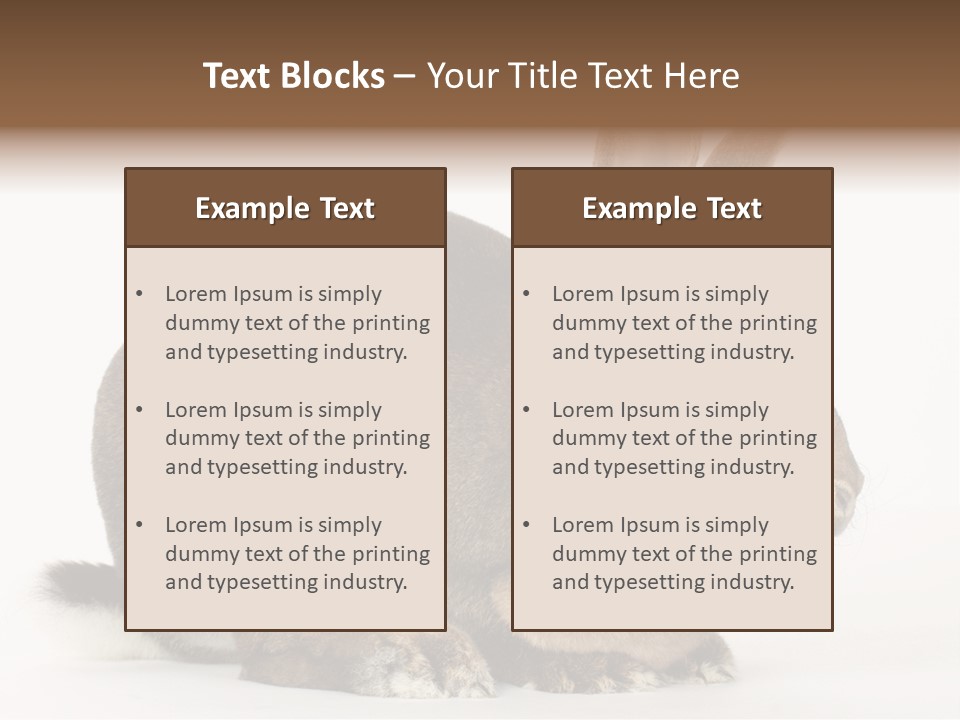 Rabbit Little Bunny PowerPoint Template