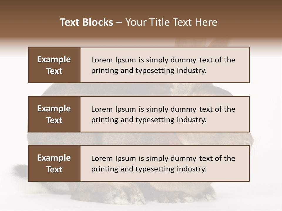 Rabbit Little Bunny PowerPoint Template