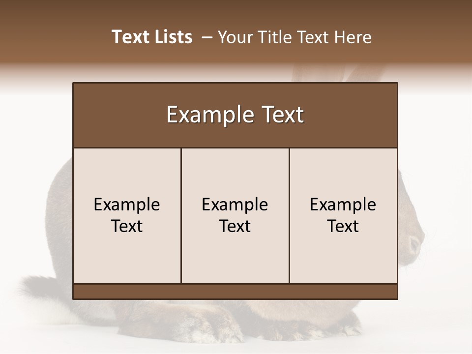 Rabbit Little Bunny PowerPoint Template