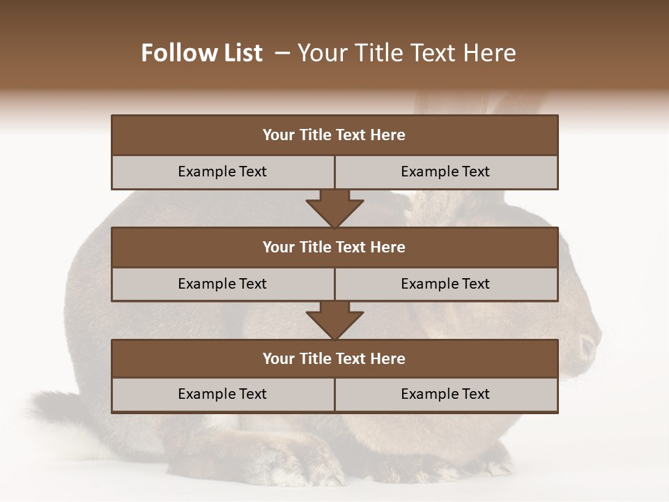 Rabbit Little Bunny PowerPoint Template