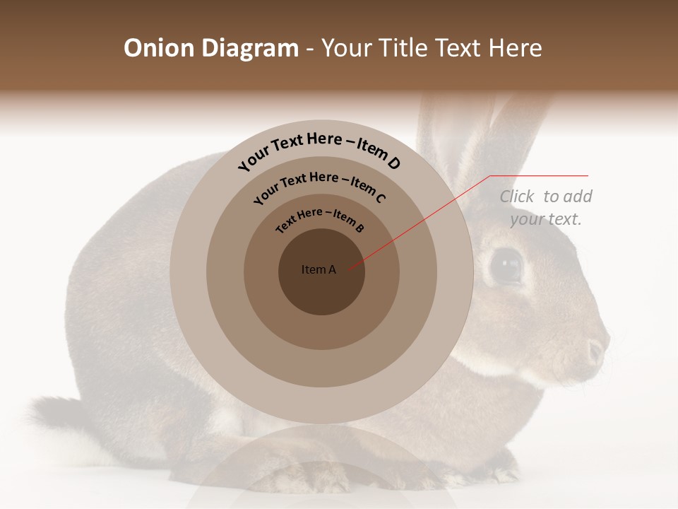 Rabbit Little Bunny PowerPoint Template
