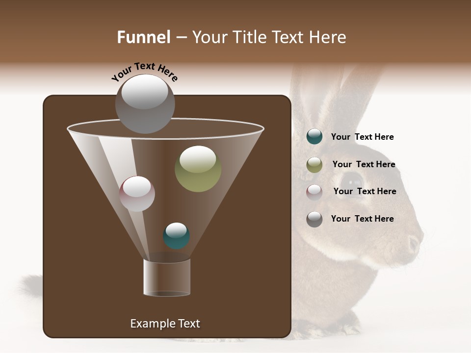 Rabbit Little Bunny PowerPoint Template