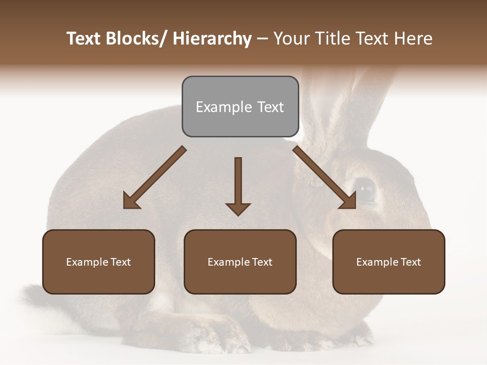 Rabbit Little Bunny PowerPoint Template