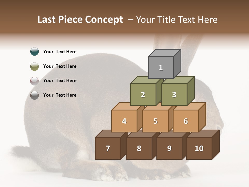 Rabbit Little Bunny PowerPoint Template