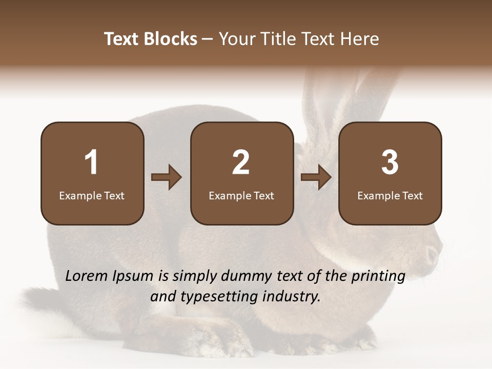 Rabbit Little Bunny PowerPoint Template