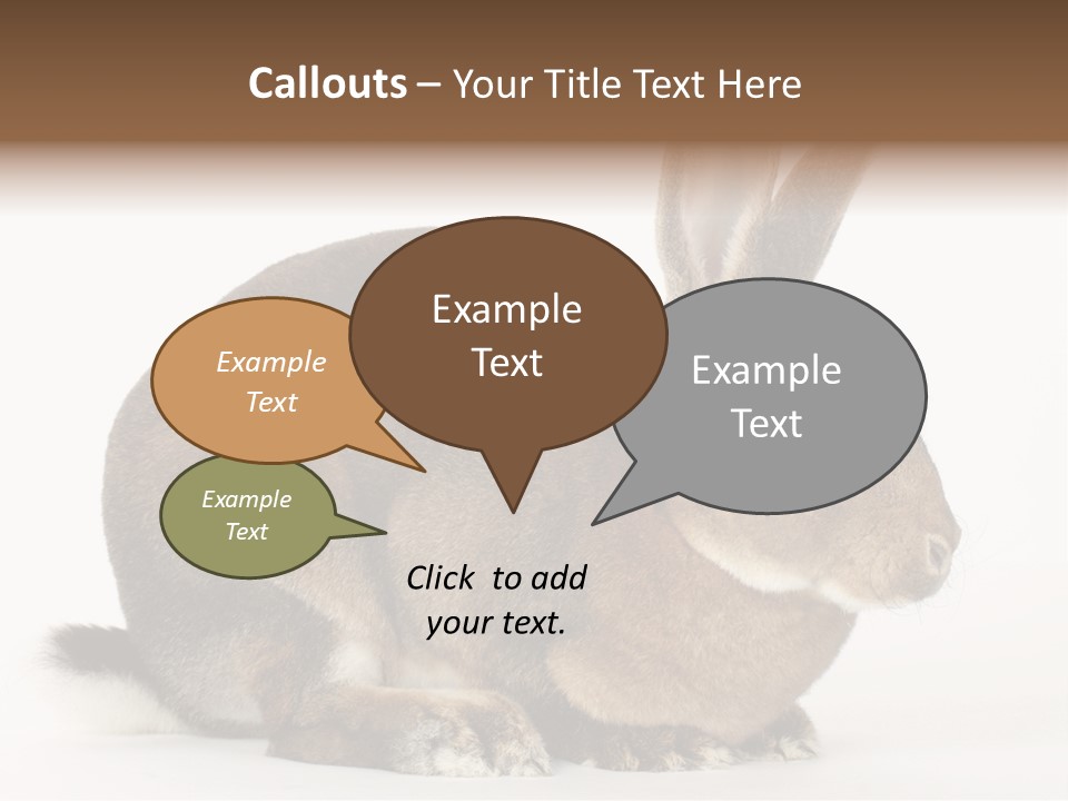 Rabbit Little Bunny PowerPoint Template