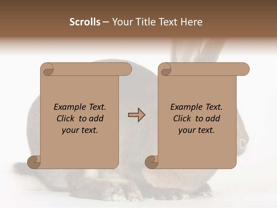 Rabbit Little Bunny PowerPoint Template