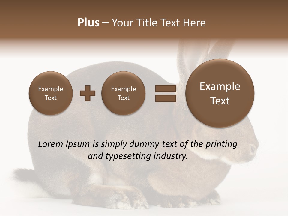 Rabbit Little Bunny PowerPoint Template
