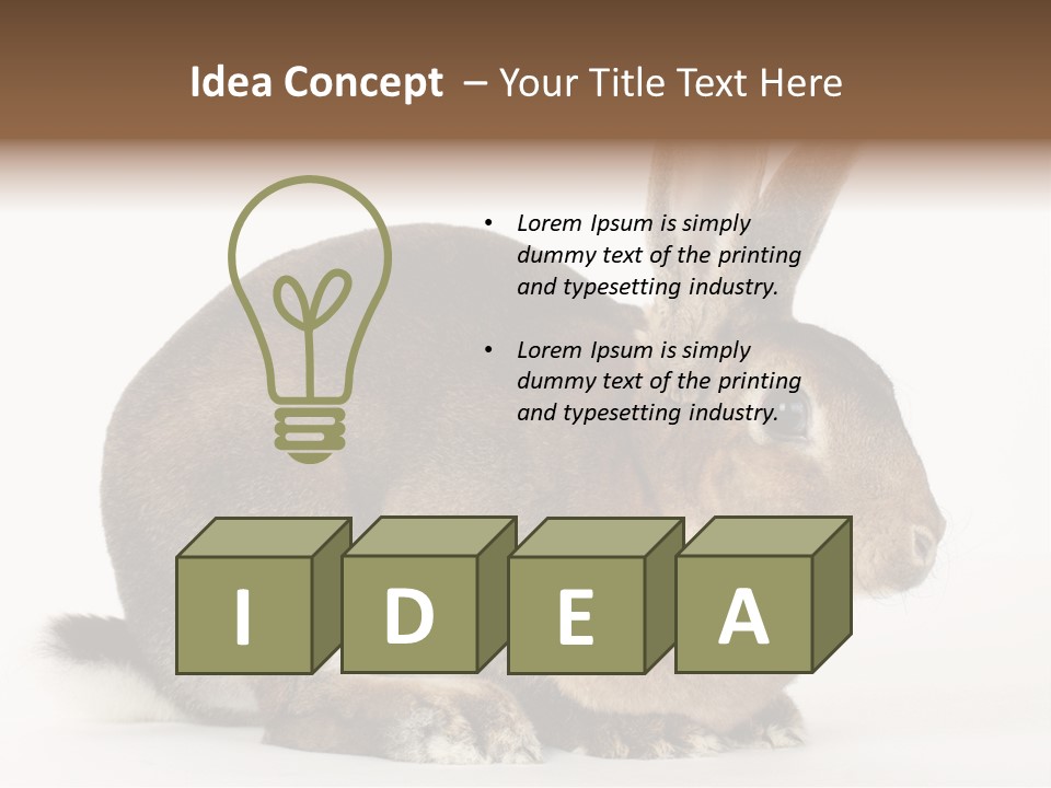 Rabbit Little Bunny PowerPoint Template