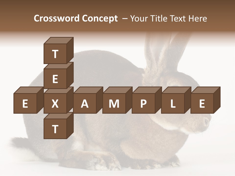 Rabbit Little Bunny PowerPoint Template