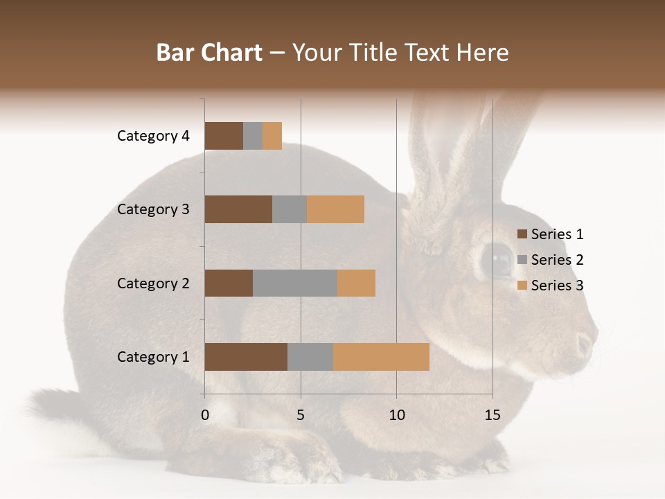 Rabbit Little Bunny PowerPoint Template