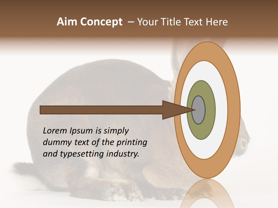 Rabbit Little Bunny PowerPoint Template