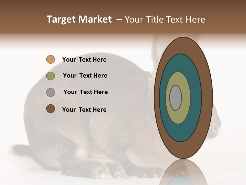 Rabbit Little Bunny PowerPoint Template