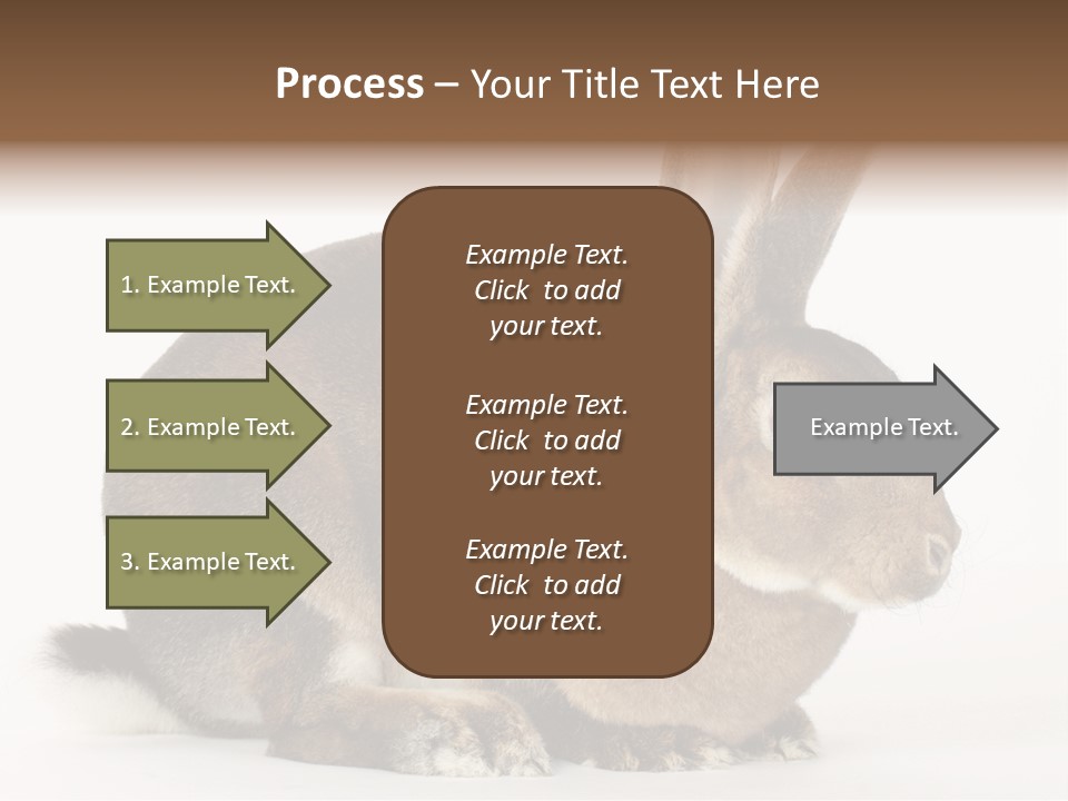 Rabbit Little Bunny PowerPoint Template