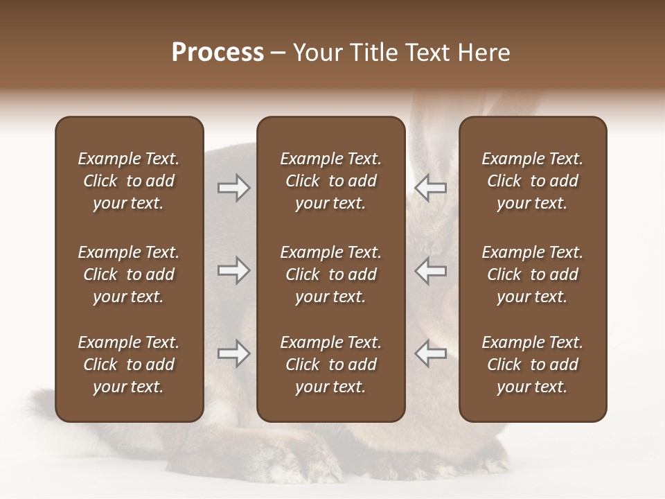 Rabbit Little Bunny PowerPoint Template