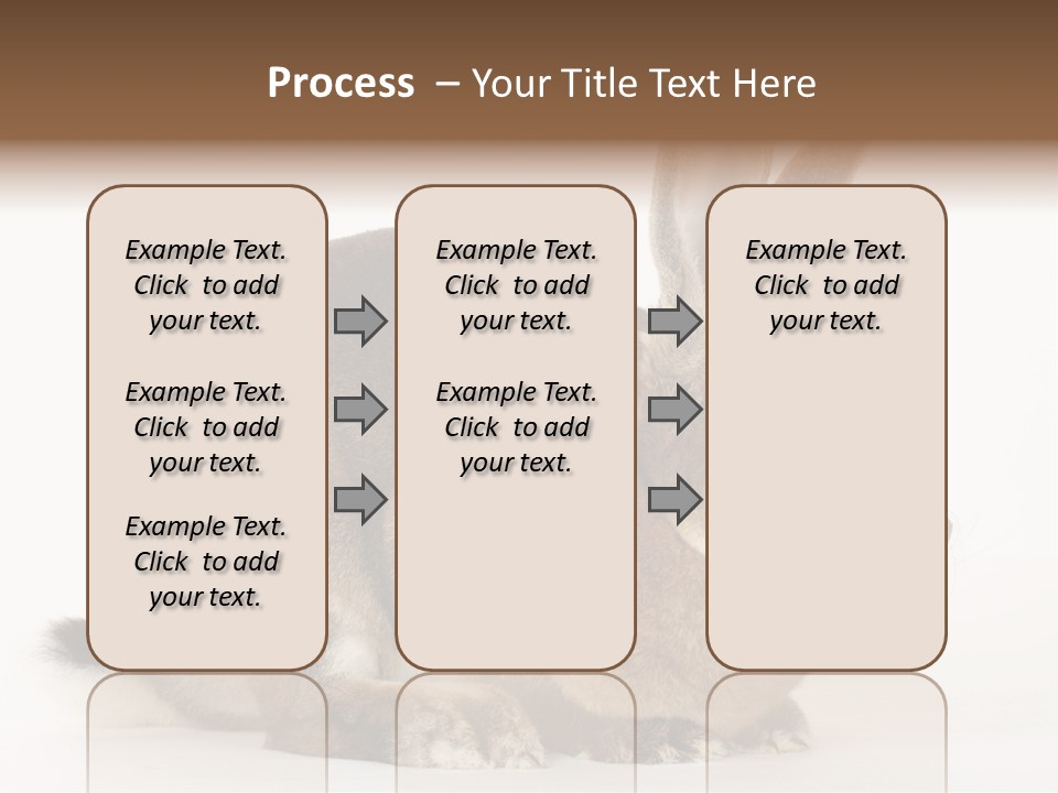 Rabbit Little Bunny PowerPoint Template