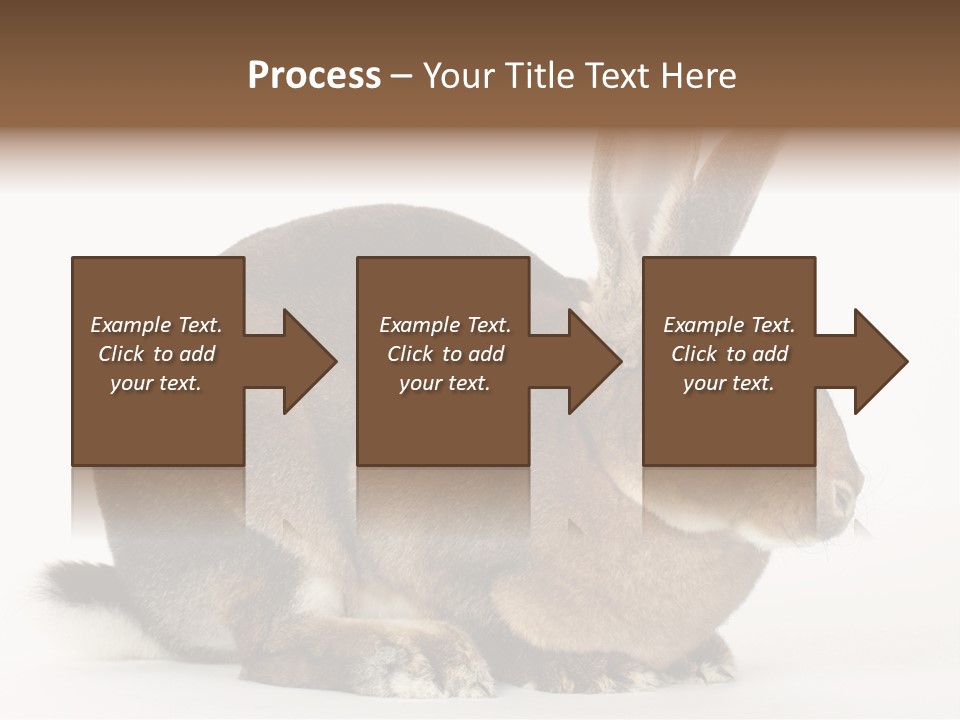 Rabbit Little Bunny PowerPoint Template