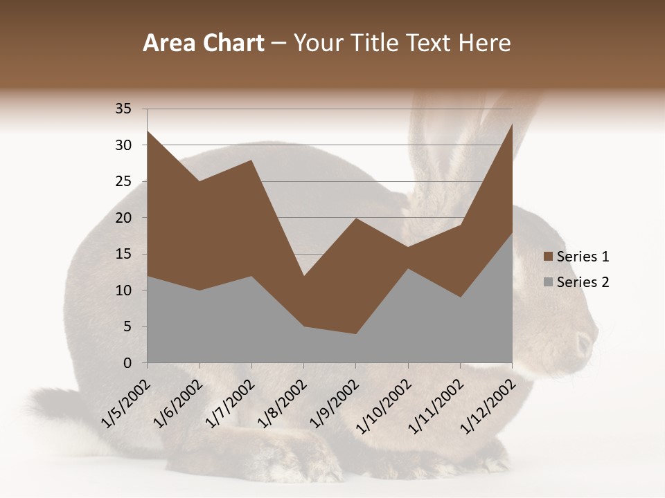Rabbit Little Bunny PowerPoint Template
