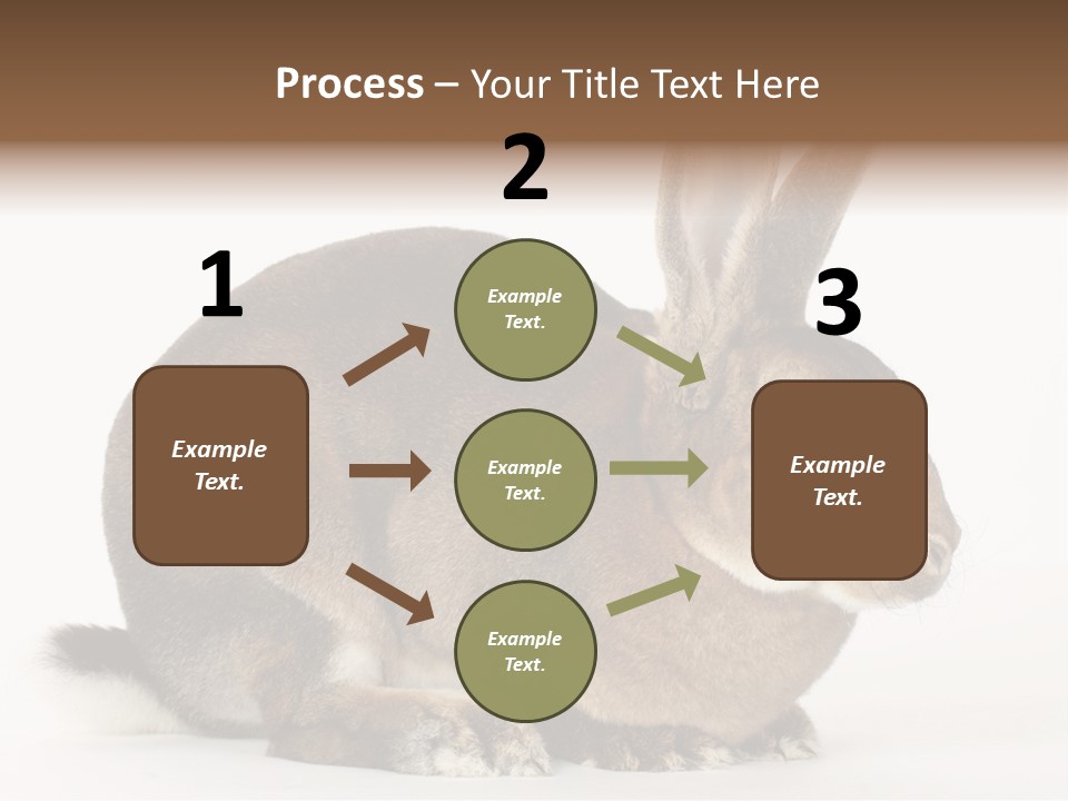 Rabbit Little Bunny PowerPoint Template
