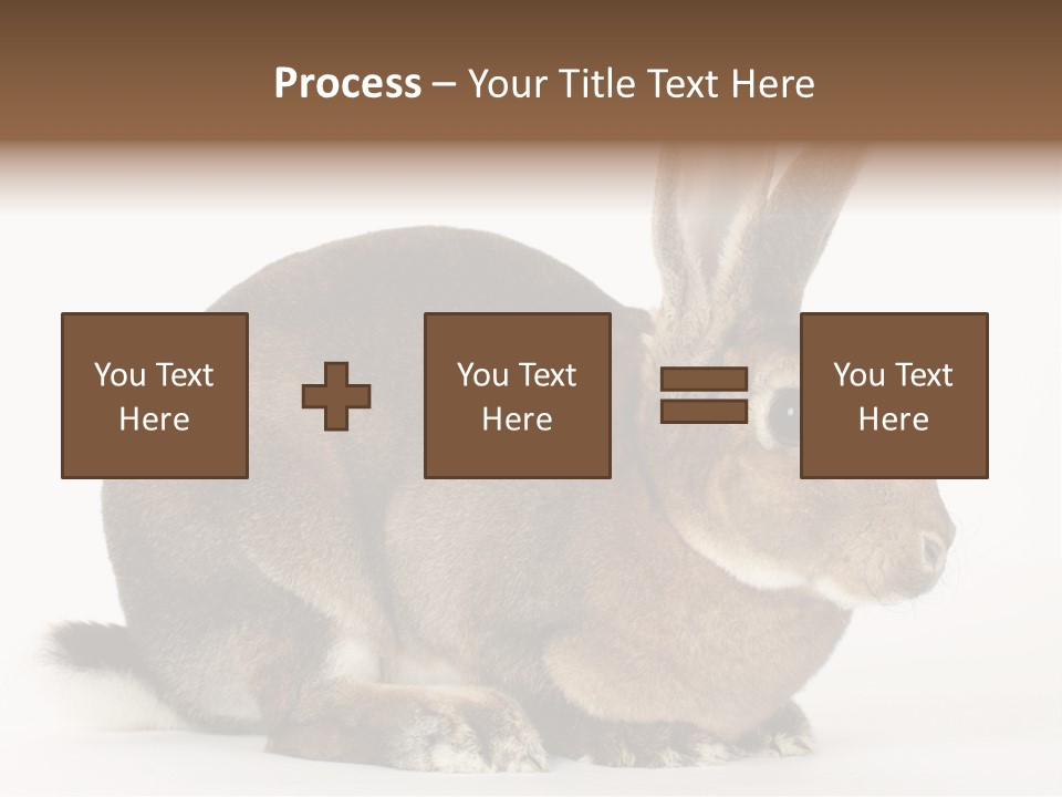 Rabbit Little Bunny PowerPoint Template
