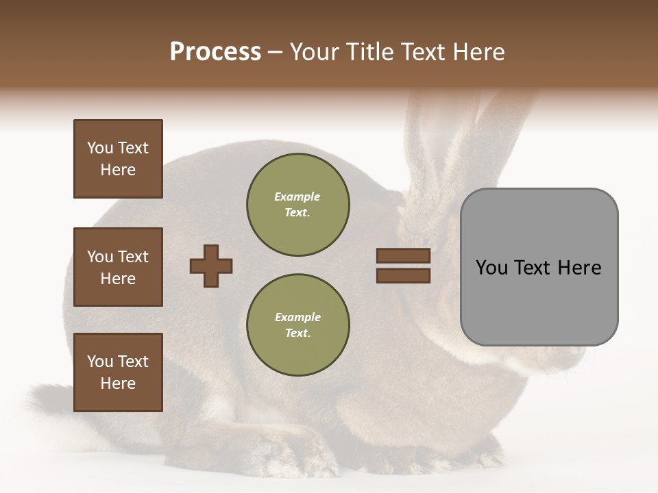 Rabbit Little Bunny PowerPoint Template