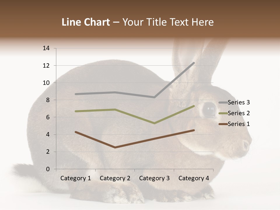 Rabbit Little Bunny PowerPoint Template