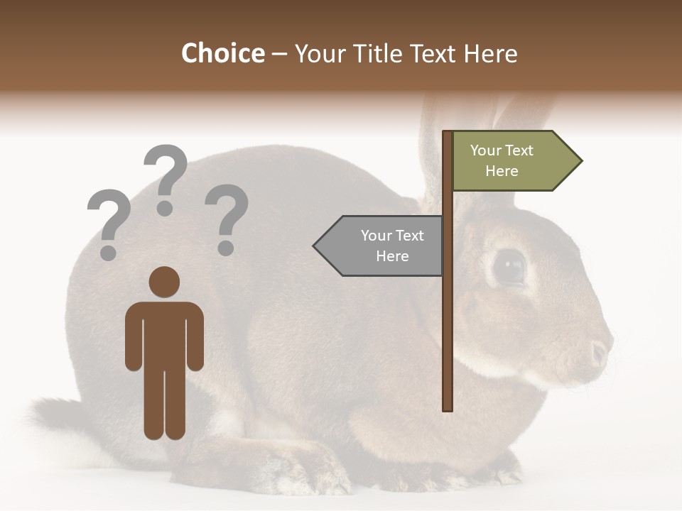 Rabbit Little Bunny PowerPoint Template