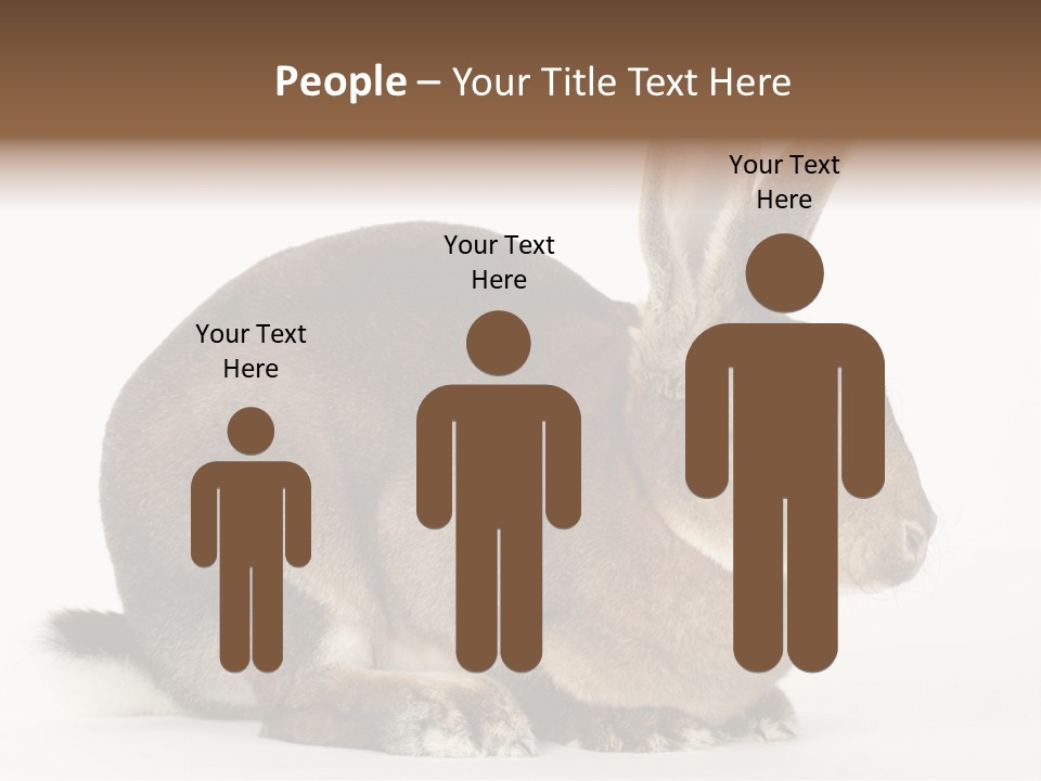 Rabbit Little Bunny PowerPoint Template