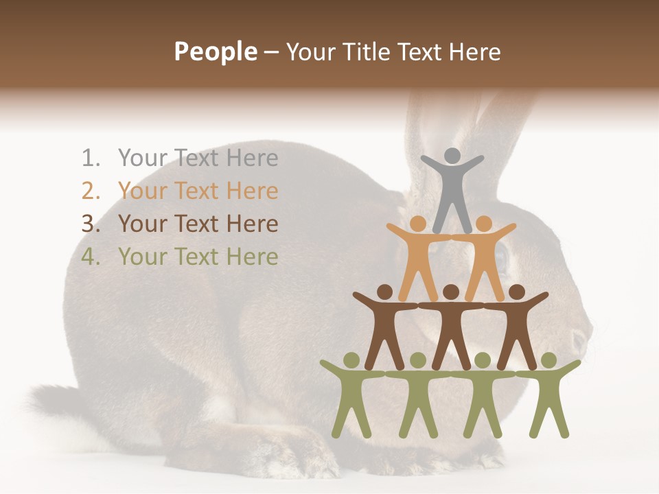 Rabbit Little Bunny PowerPoint Template