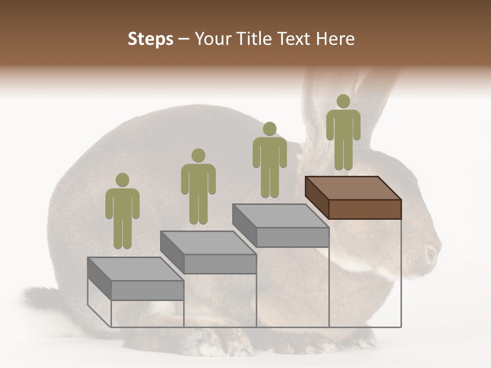 Rabbit Little Bunny PowerPoint Template
