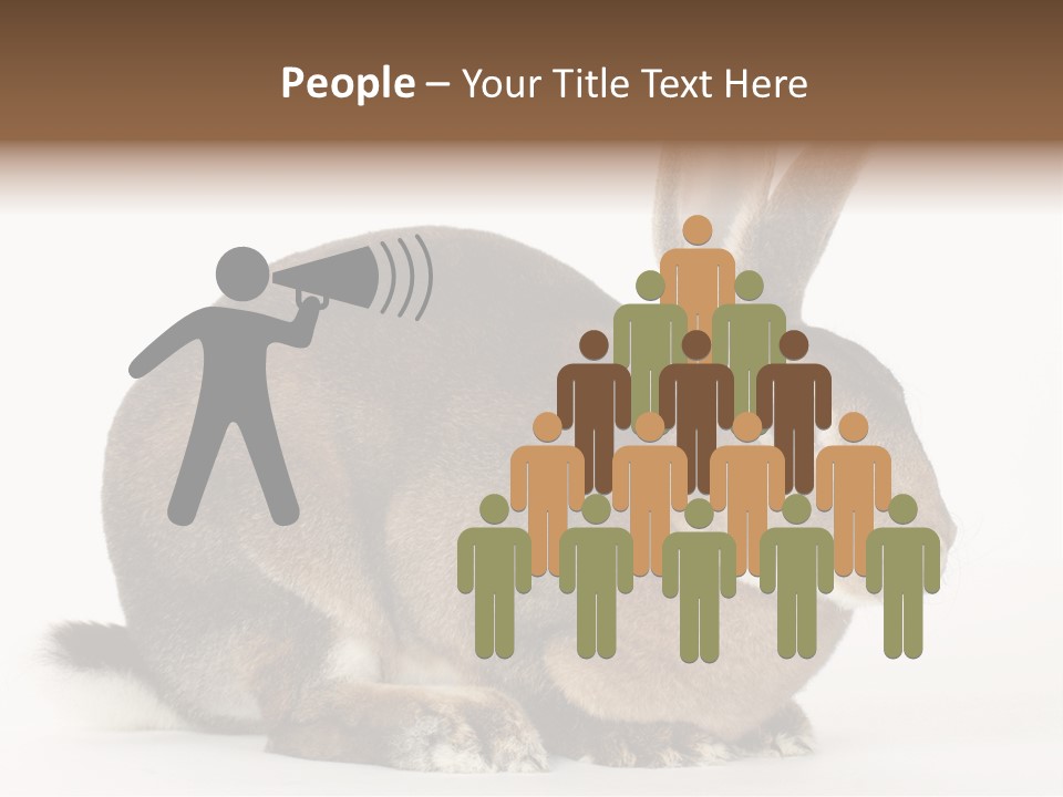 Rabbit Little Bunny PowerPoint Template
