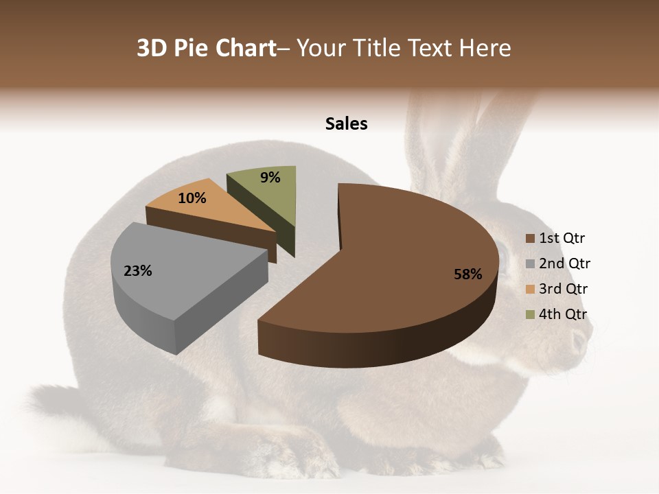 Rabbit Little Bunny PowerPoint Template